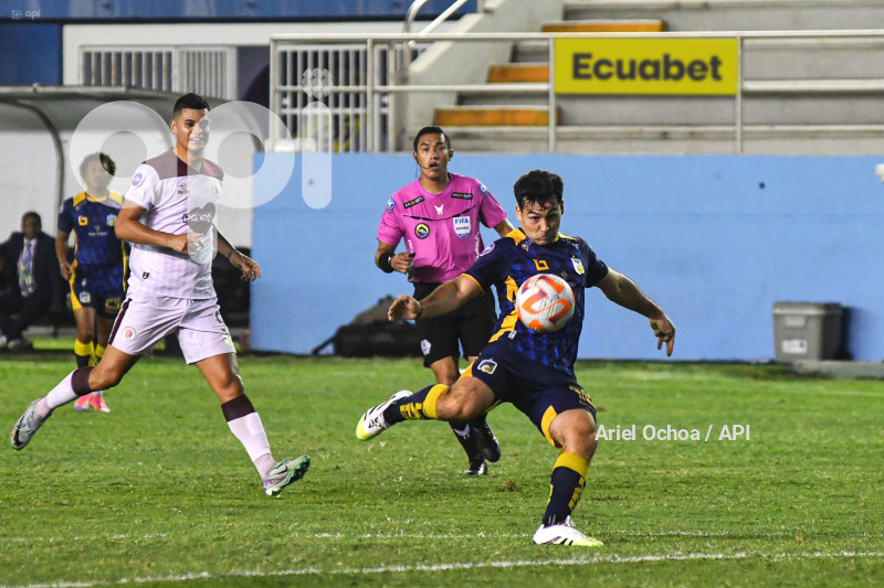 FBL-LIGAPRO-DELFIN-VINO TINTO