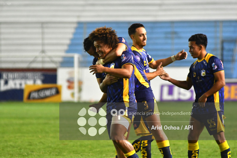 FBL-LIGAPRO-DELFIN-VINO TINTO