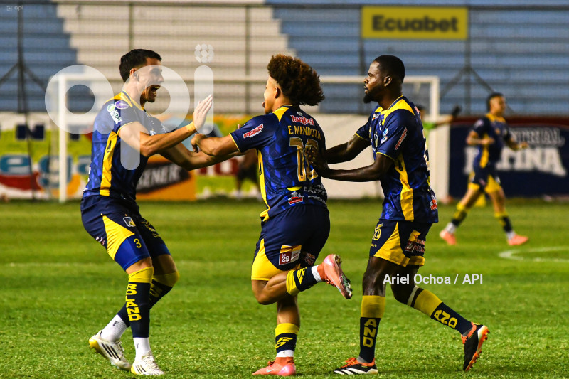 FBL-LIGAPRO-DELFIN-VINO TINTO