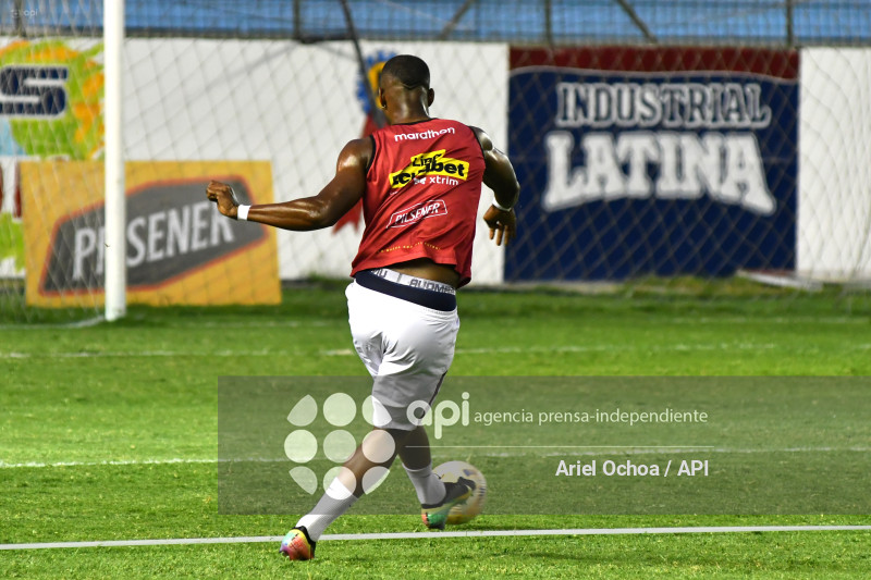 FBL-LIGAPRO-DELFIN-VINO TINTO