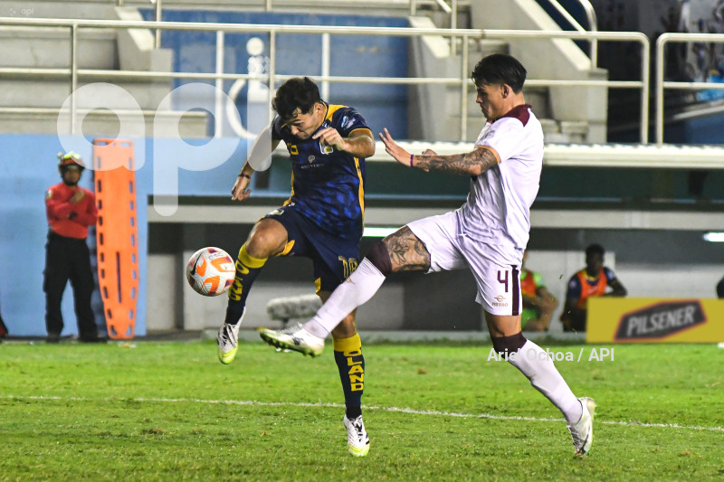 FBL-LIGAPRO-DELFIN-VINO TINTO