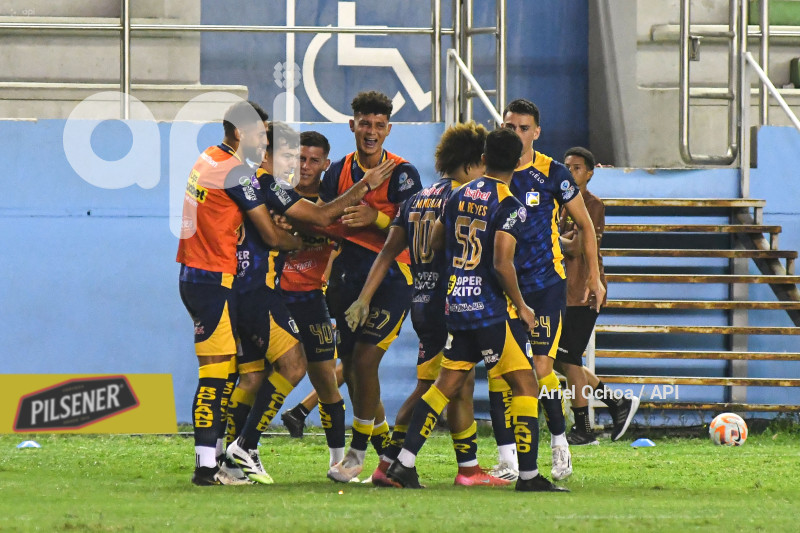 FBL-LIGAPRO-DELFIN-VINO TINTO