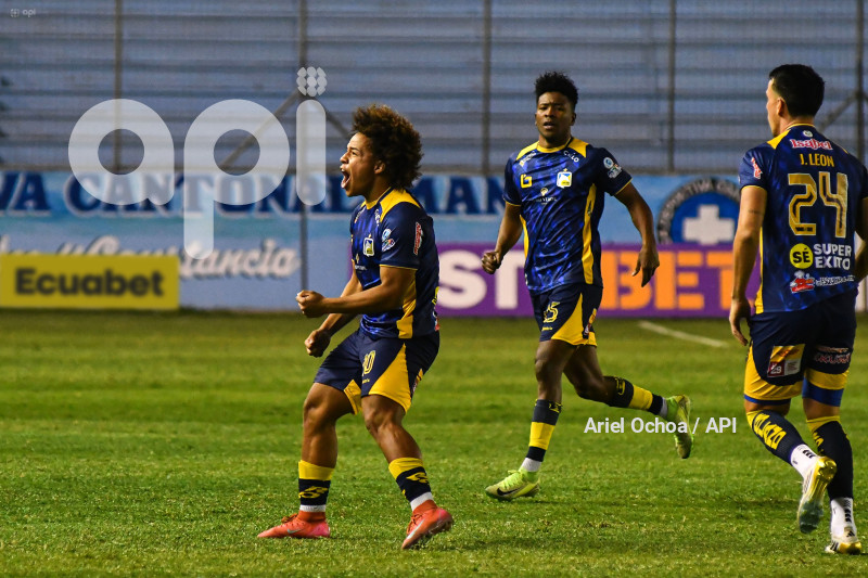 FBL-LIGAPRO-DELFIN-VINO TINTO