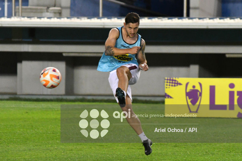 FBL-LIGAPRO-DELFIN-VINO TINTO