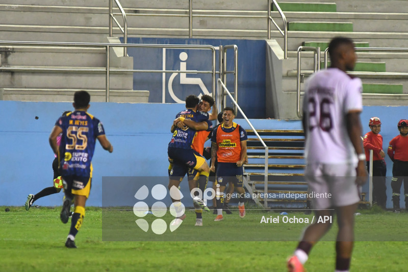 FBL-LIGAPRO-DELFIN-VINO TINTO