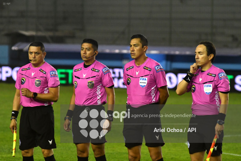 FBL-LIGAPRO-DELFIN-VINO TINTO