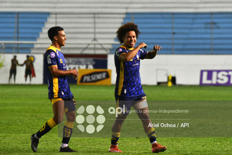 FBL-LIGAPRO-DELFIN-VINO TINTO