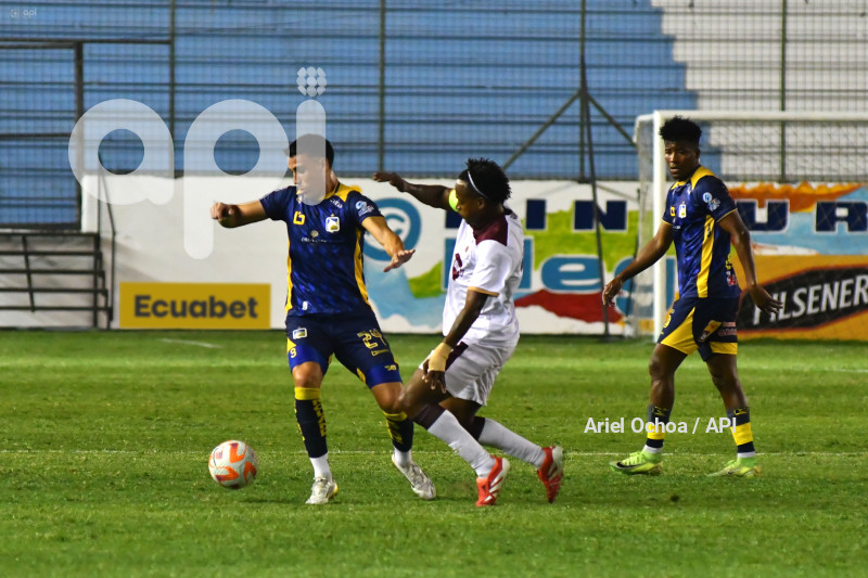 FBL-LIGAPRO-DELFIN-VINO TINTO