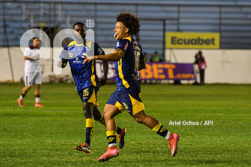 FBL-LIGAPRO-DELFIN-VINO TINTO