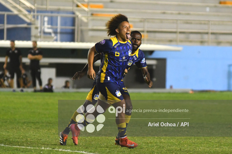 FBL-LIGAPRO-DELFIN-VINO TINTO