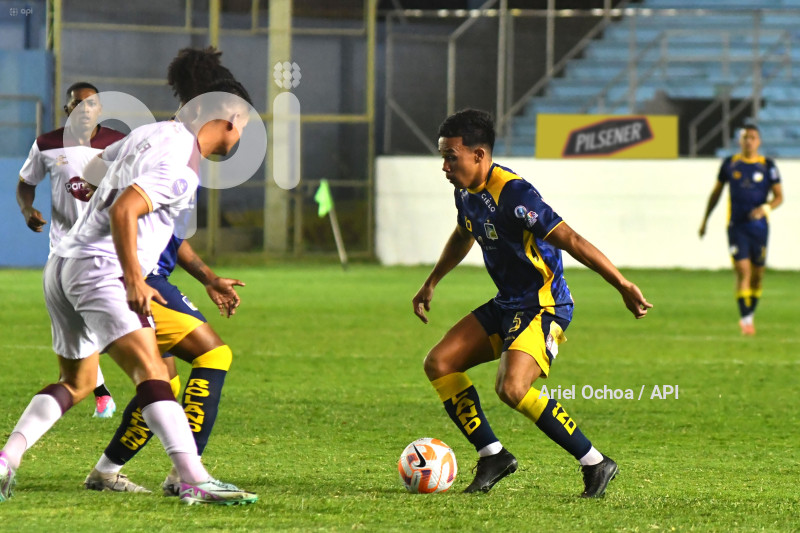 FBL-LIGAPRO-DELFIN-VINO TINTO