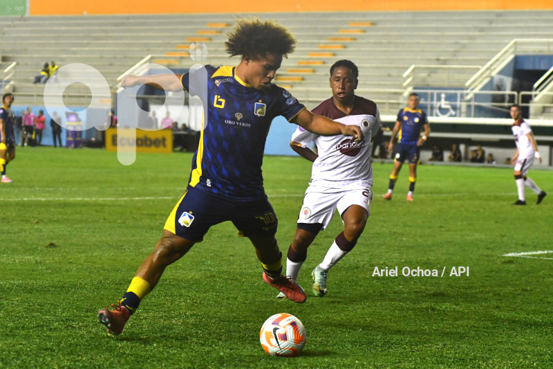 FBL-LIGAPRO-DELFIN-VINO TINTO