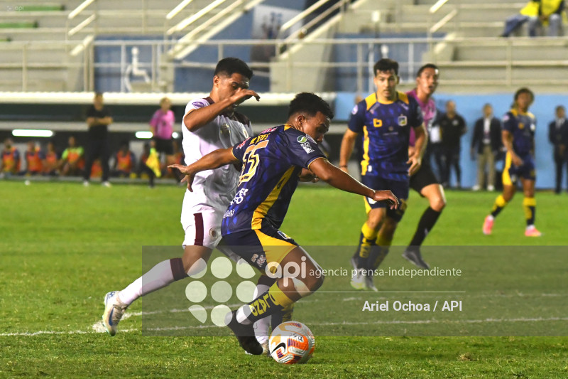 FBL-LIGAPRO-DELFIN-VINO TINTO