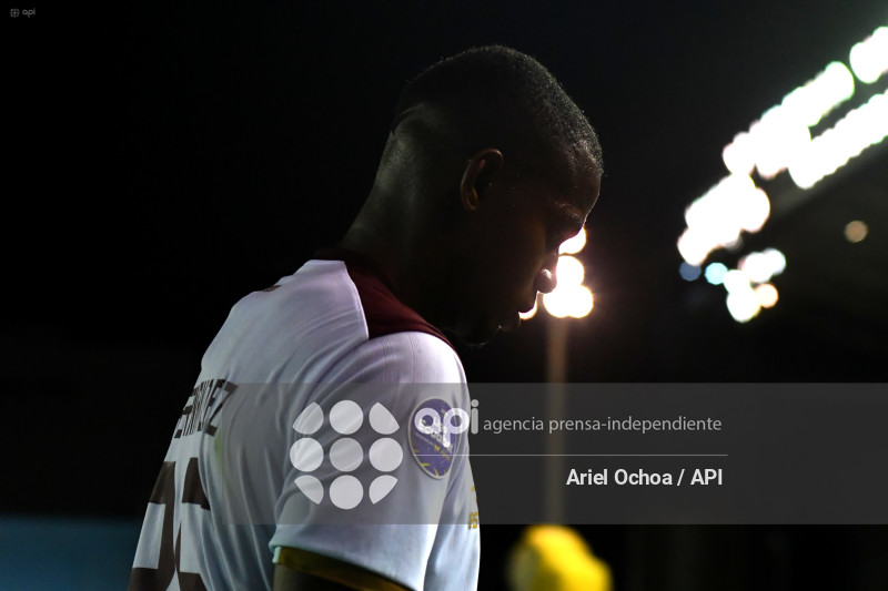 FBL-LIGAPRO-DELFIN-VINO TINTO