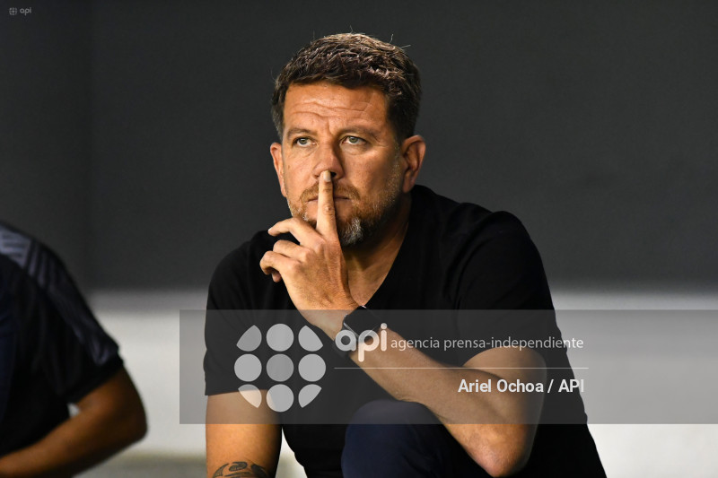 FBL-LIGAPRO-DELFIN-VINO TINTO