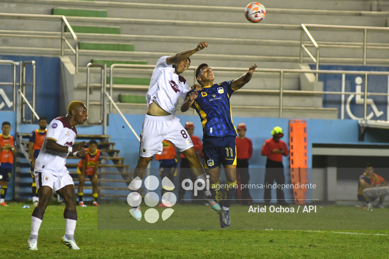 FBL-LIGAPRO-DELFIN-VINO TINTO