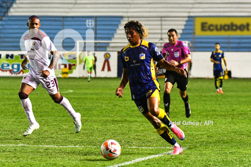 FBL-LIGAPRO-DELFIN-VINO TINTO