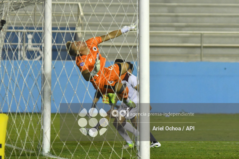 FBL-LIGAPRO-DELFIN-VINO TINTO