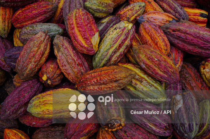 GYE-CACAO-NUEVOS ARANCELES