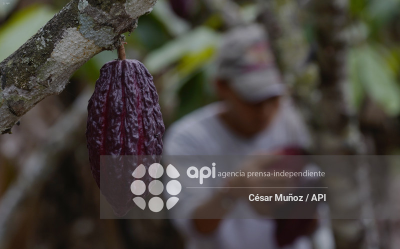 GYE-CACAO-NUEVOS ARANCELES