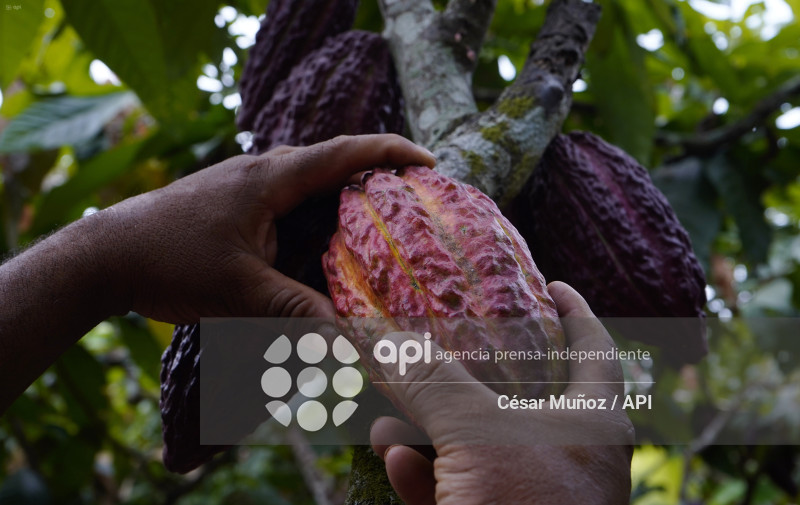 GYE-CACAO-NUEVOS ARANCELES