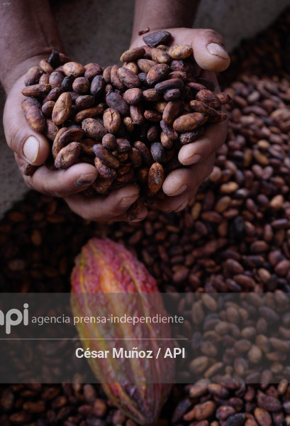 GYE-CACAO-NUEVOS ARANCELES