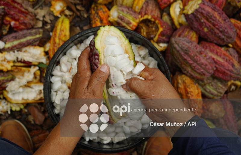 GYE-CACAO-NUEVOS ARANCELES