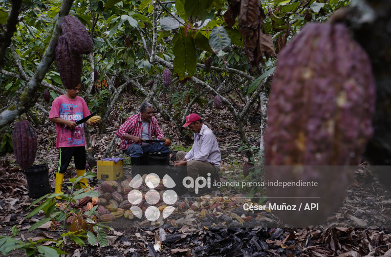 GYE-CACAO-NUEVOS ARANCELES