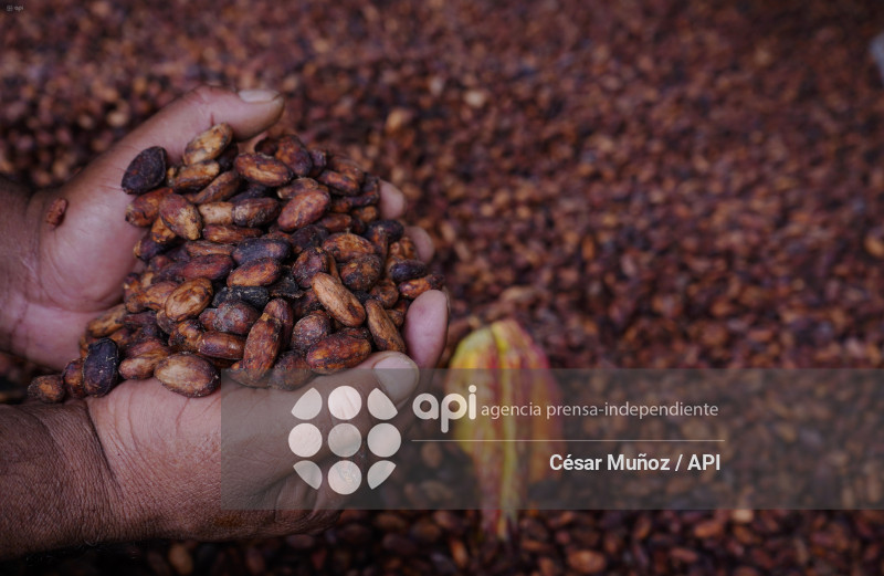 GYE-CACAO-NUEVOS ARANCELES