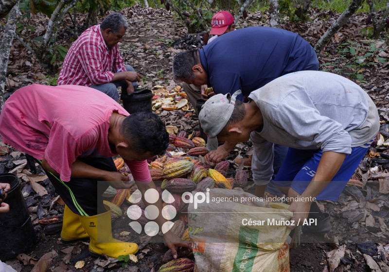 GYE-CACAO-NUEVOS ARANCELES