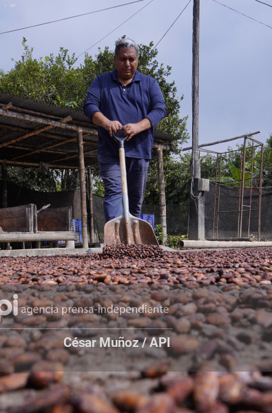 GYE-CACAO-NUEVOS ARANCELES