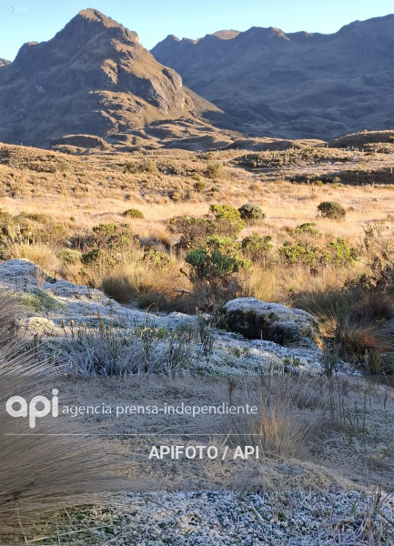 CUENCA-CAJAS-BAJAS TEMPERATURAS