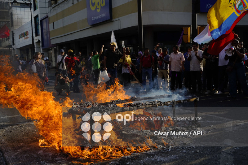 GYE-MARCHA CONTRA GOBIERNO