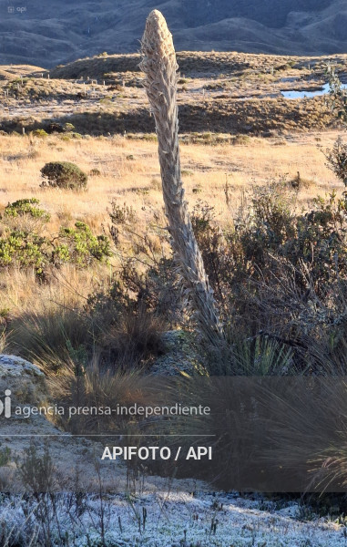 CUENCA-CAJAS-BAJAS TEMPERATURAS