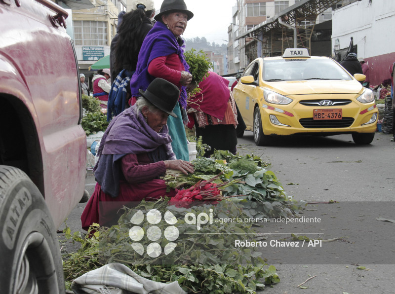 Transito normal de Buses de servicio publico