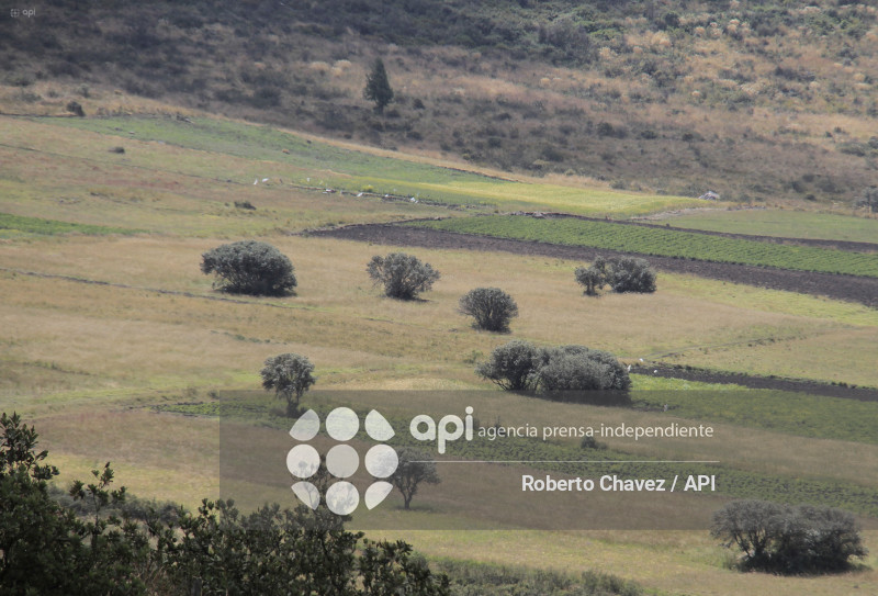 MISA Y RITUALES EN MEMORIA DE FERNANDO VILLAVICENCIO