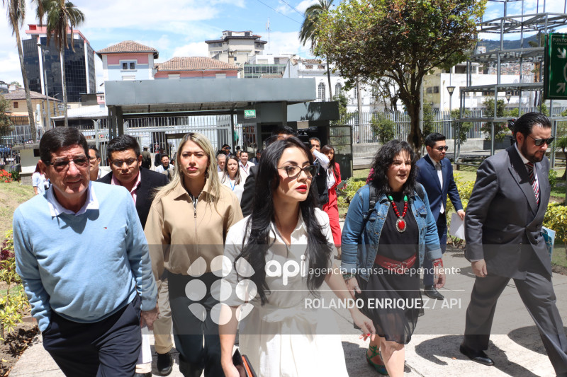 COMISION NINEZ NEONATOS FALLECIDOS