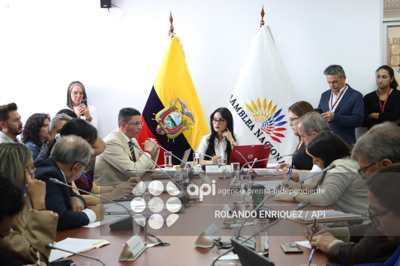 COMISION NINEZ NEONATOS FALLECIDOS