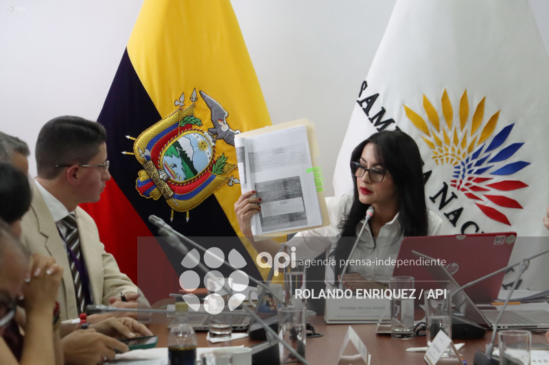 COMISION NINEZ NEONATOS FALLECIDOS