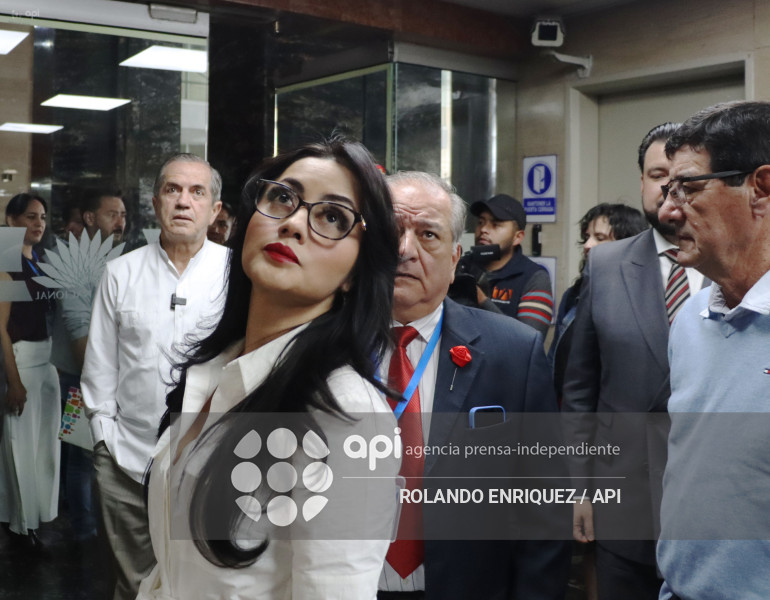 COMISION NINEZ NEONATOS FALLECIDOS