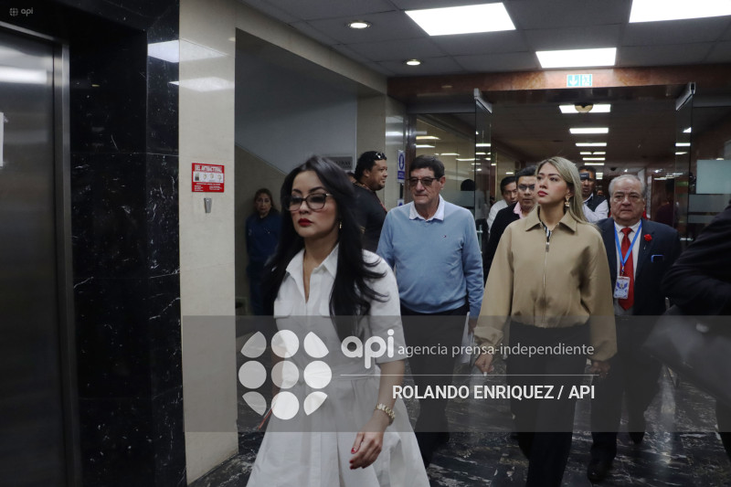 COMISION NINEZ NEONATOS FALLECIDOS