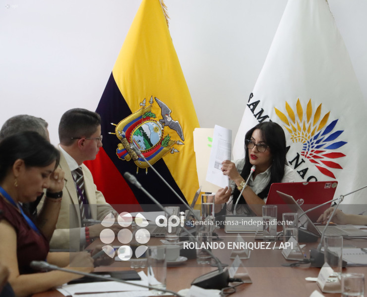 COMISION NINEZ NEONATOS FALLECIDOS