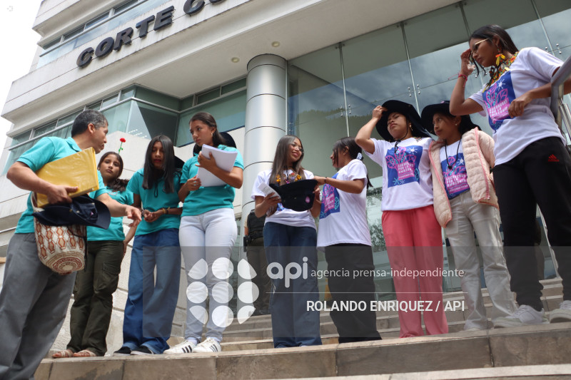 APAGUEN LOS MECHEROS CORTE CONSTITUCIONAL