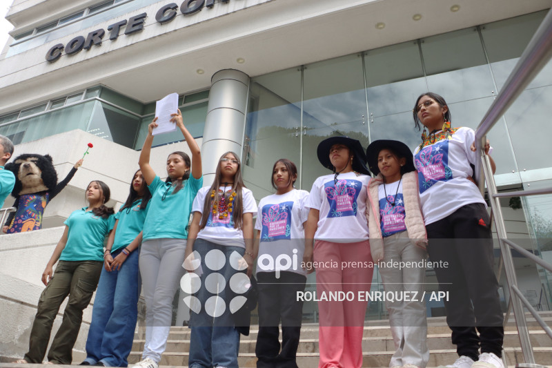 APAGUEN LOS MECHEROS CORTE CONSTITUCIONAL