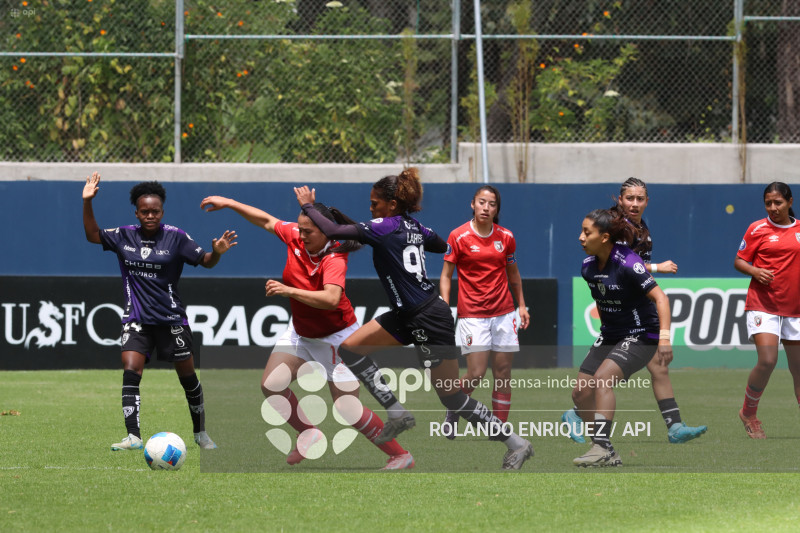 FBL SUPERLIGA FEMENINA DRAGONAS IDV VS LEONES DEL NORTE