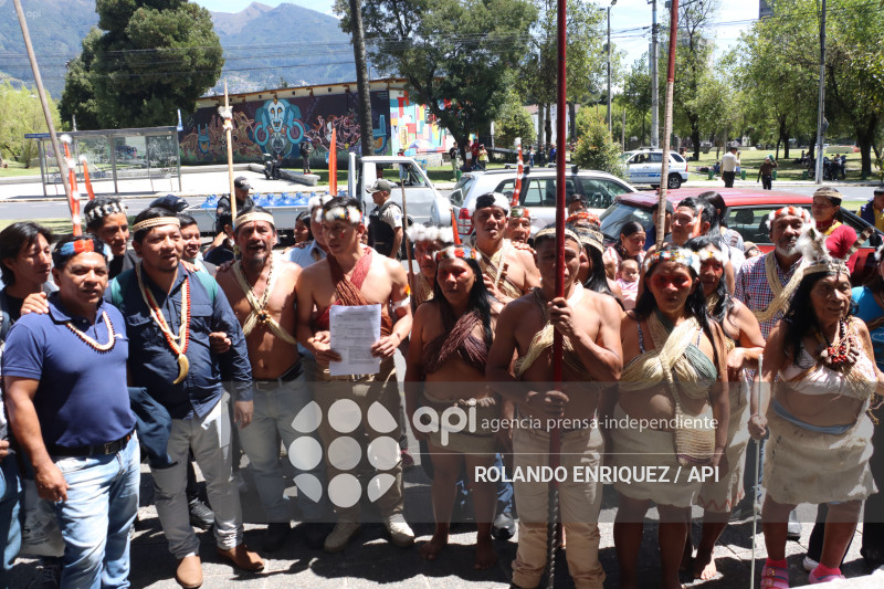 WAORANIS ACCION DE PROTECCION ELECCION PRESIDENTE