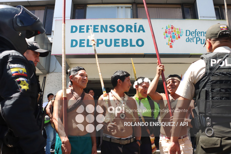 WAORANIS ACCION DE PROTECCION ELECCION PRESIDENTE