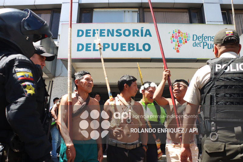 WAORANIS ACCION DE PROTECCION ELECCION PRESIDENTE