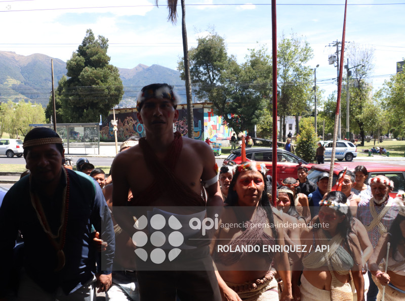 WAORANIS ACCION DE PROTECCION ELECCION PRESIDENTE