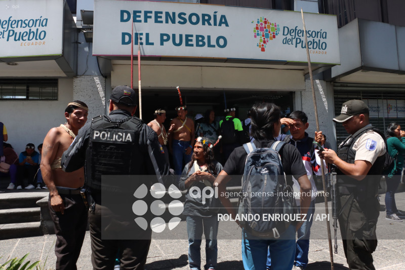 WAORANIS ACCION DE PROTECCION ELECCION PRESIDENTE